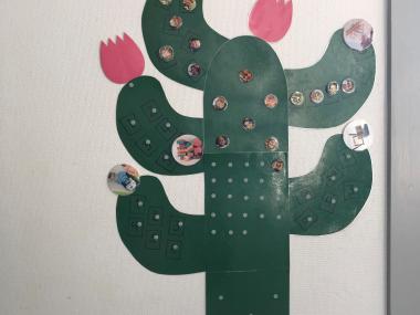 Kaktus som symboliserer arbejdet med principper